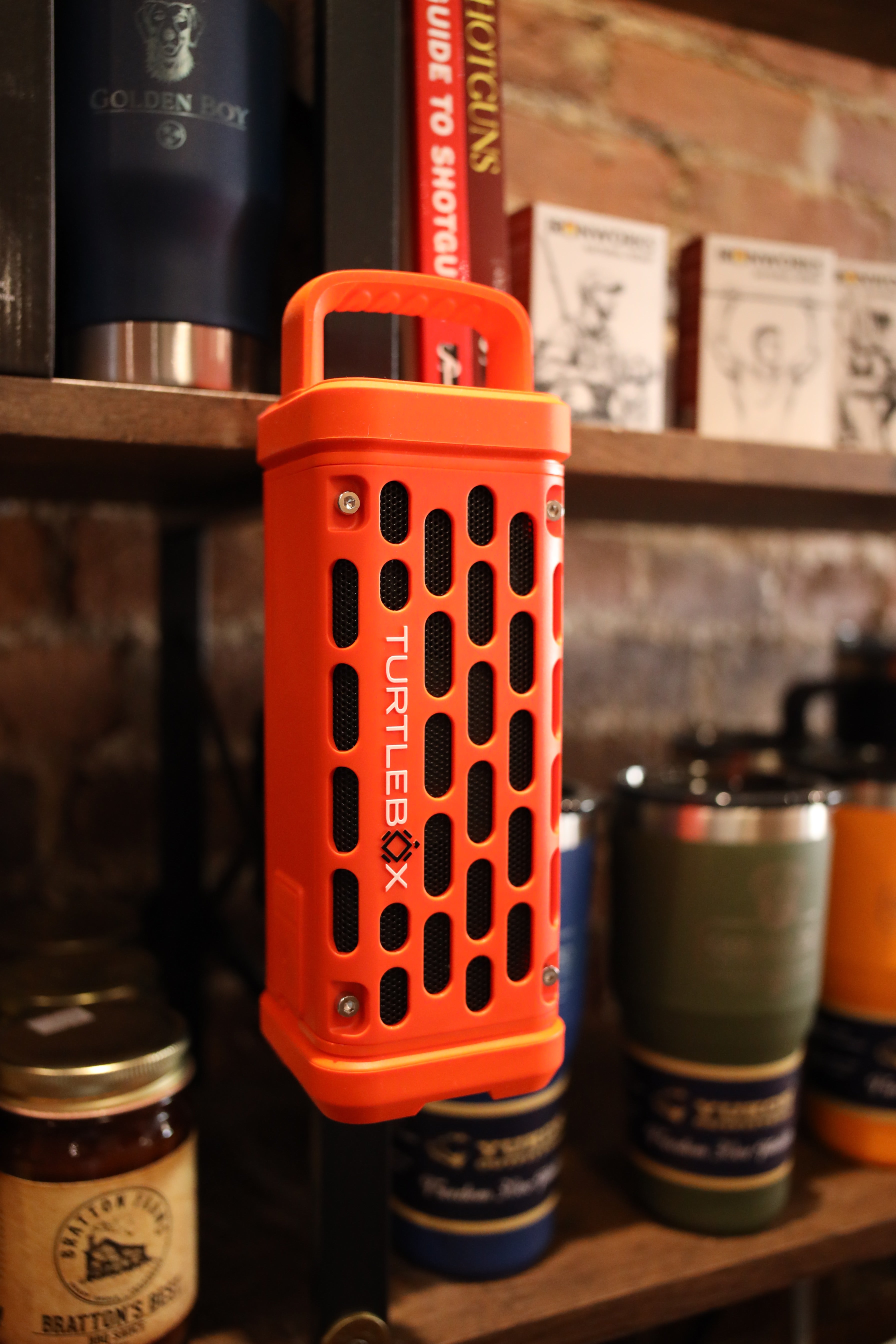 TurtleBox - Loud Outdoor Audio (Small)